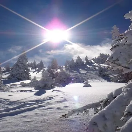 Weinberg T1 & T2 By Managers *